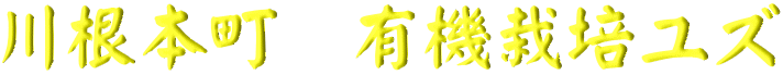 川根本町 有機栽培ユズ